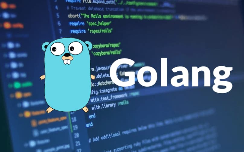 Golang Developer Salary